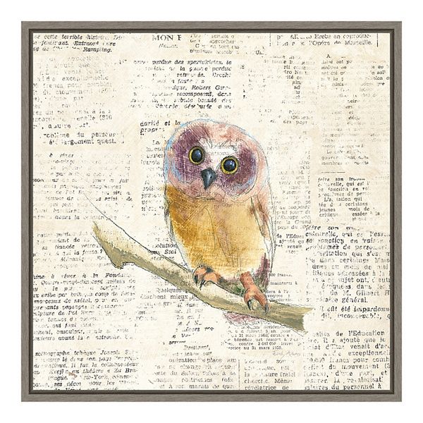 Amanti Art Into The Woods Ii No Border Owl Canvas Wall Art