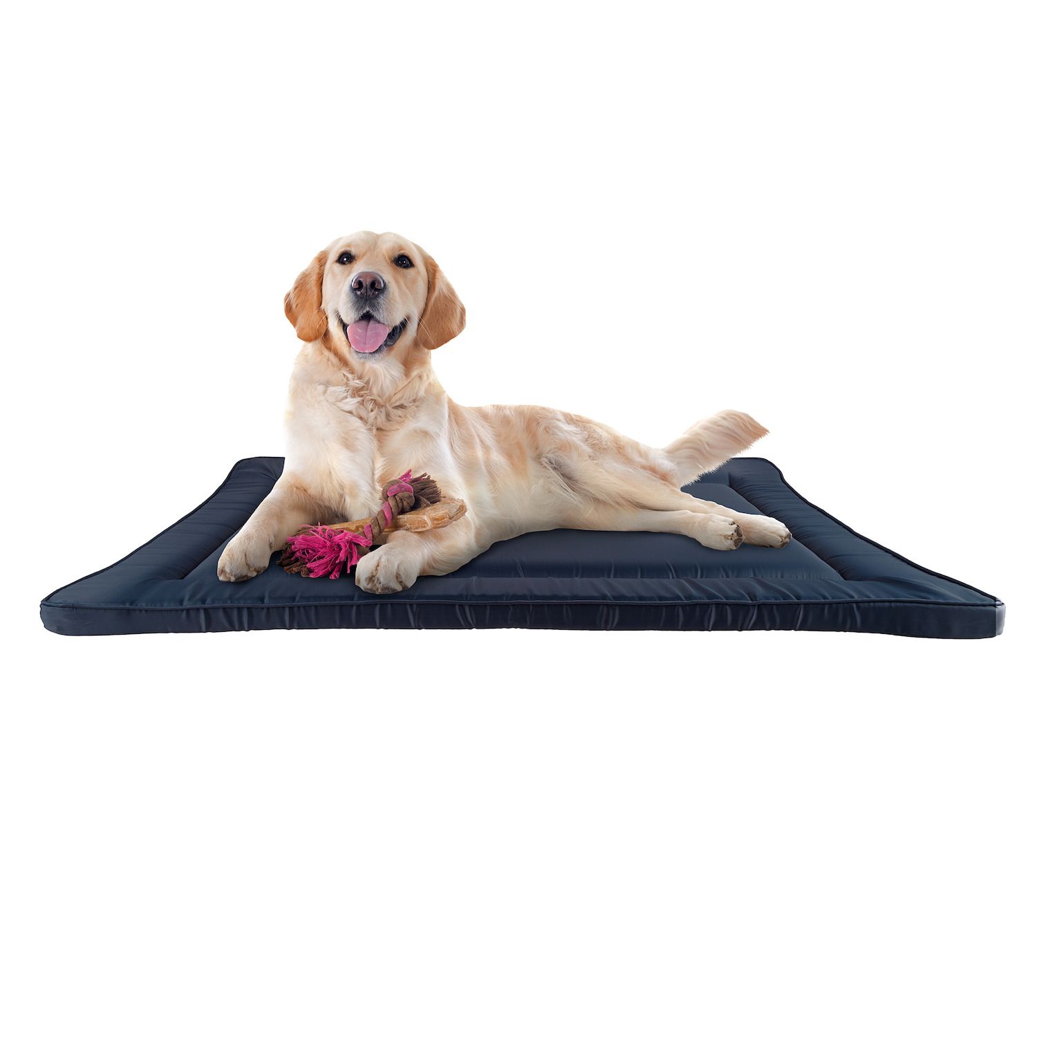 crate cushions for dogs